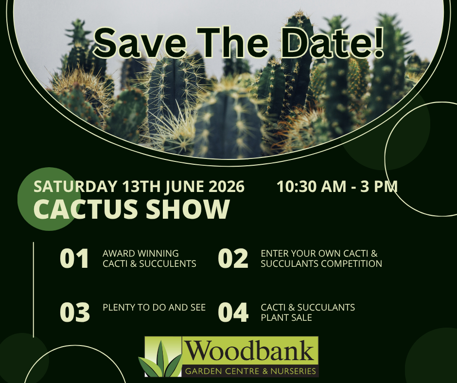 Cactus And Succulent Show