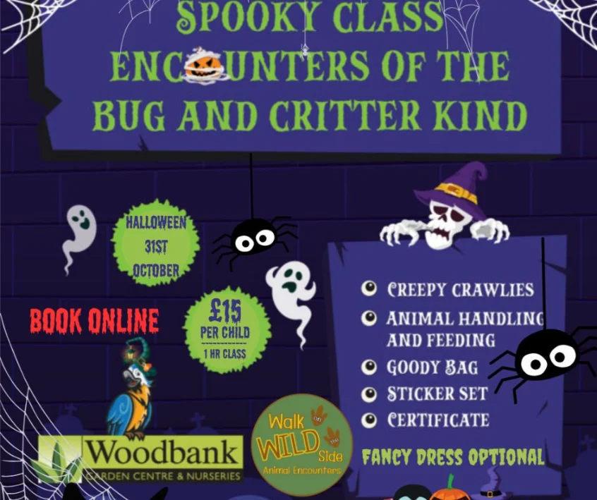 Halloween 31st October Spooky Class Encounters