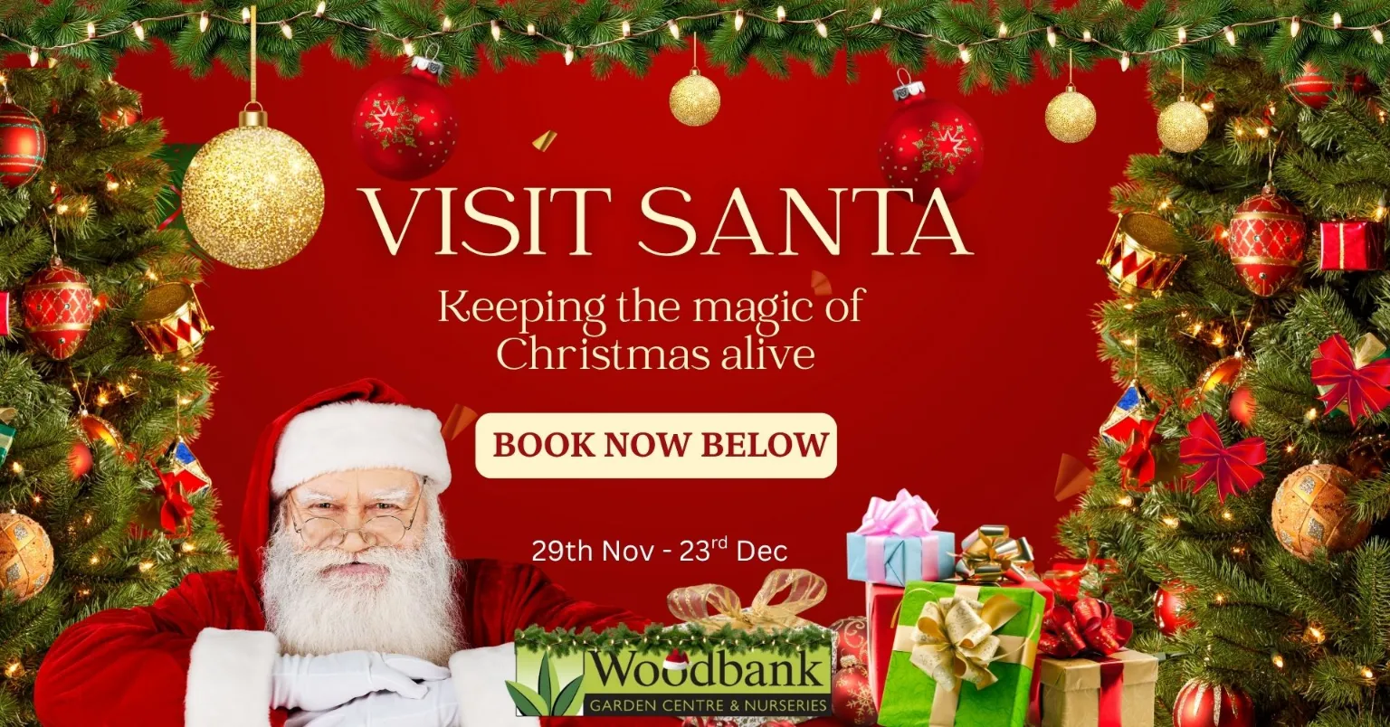 Visit Santa Book Now 2025