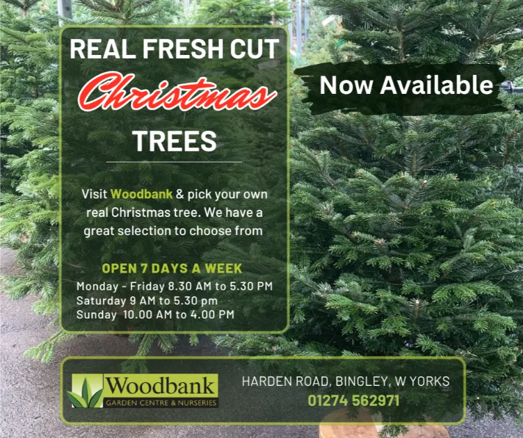 Woodbank Real Christmas Trees
