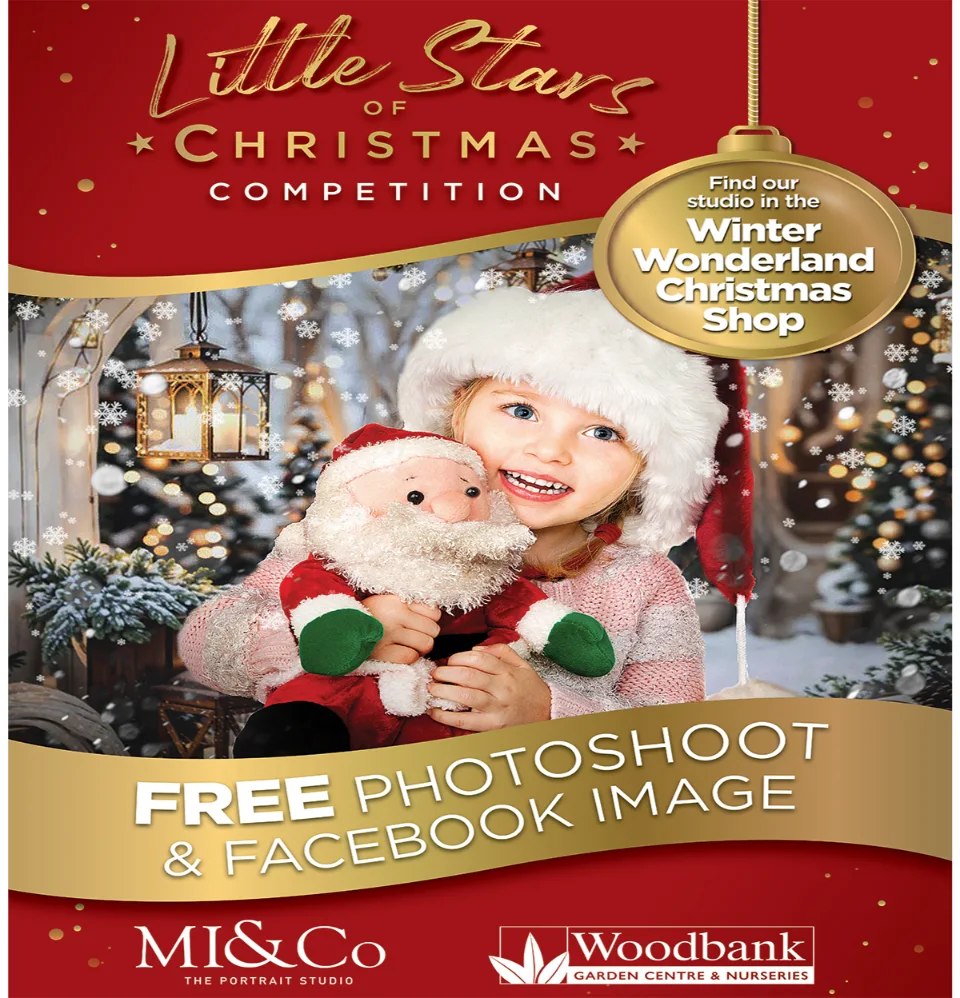 little stars of christmas free photoshoot website