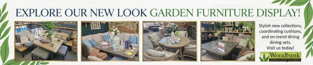 new outdoor furniture showroom banner